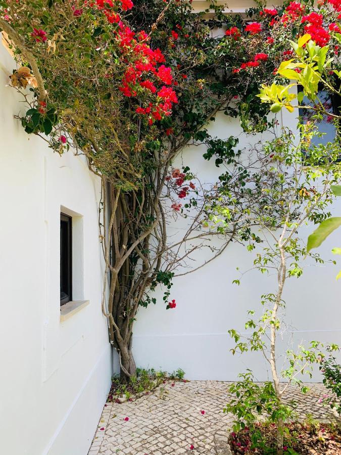Dona Maria 66 Villa Luz Екстериор снимка