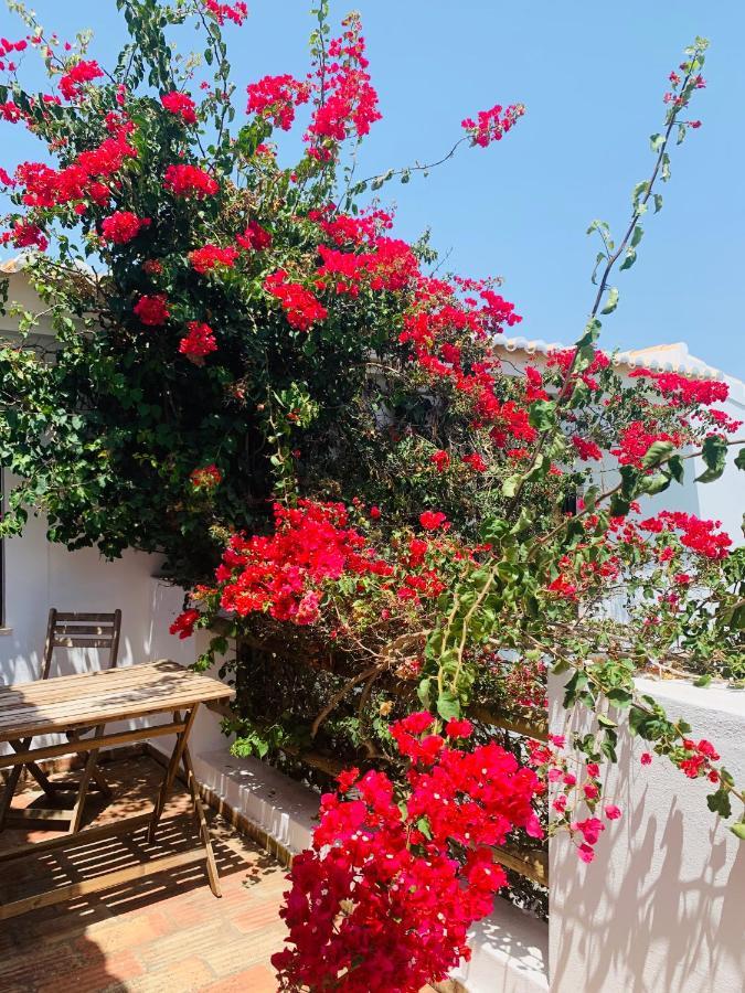 Dona Maria 66 Villa Luz Екстериор снимка